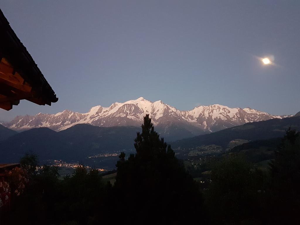 Willa La Joubarbe Au Balcon Du Mont-Blanc Sallanches Zewnętrze zdjęcie